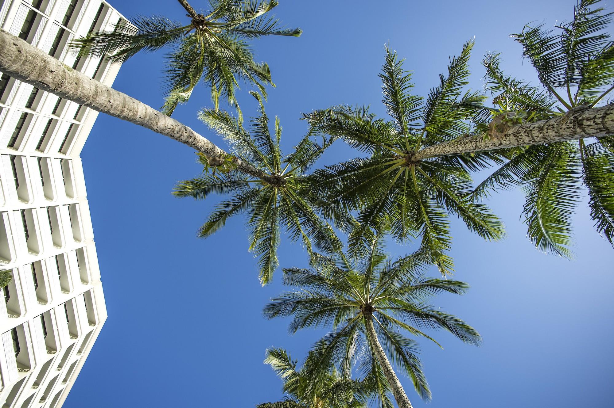 Rydges Esplanade Resort Cairns Exteriér fotografie